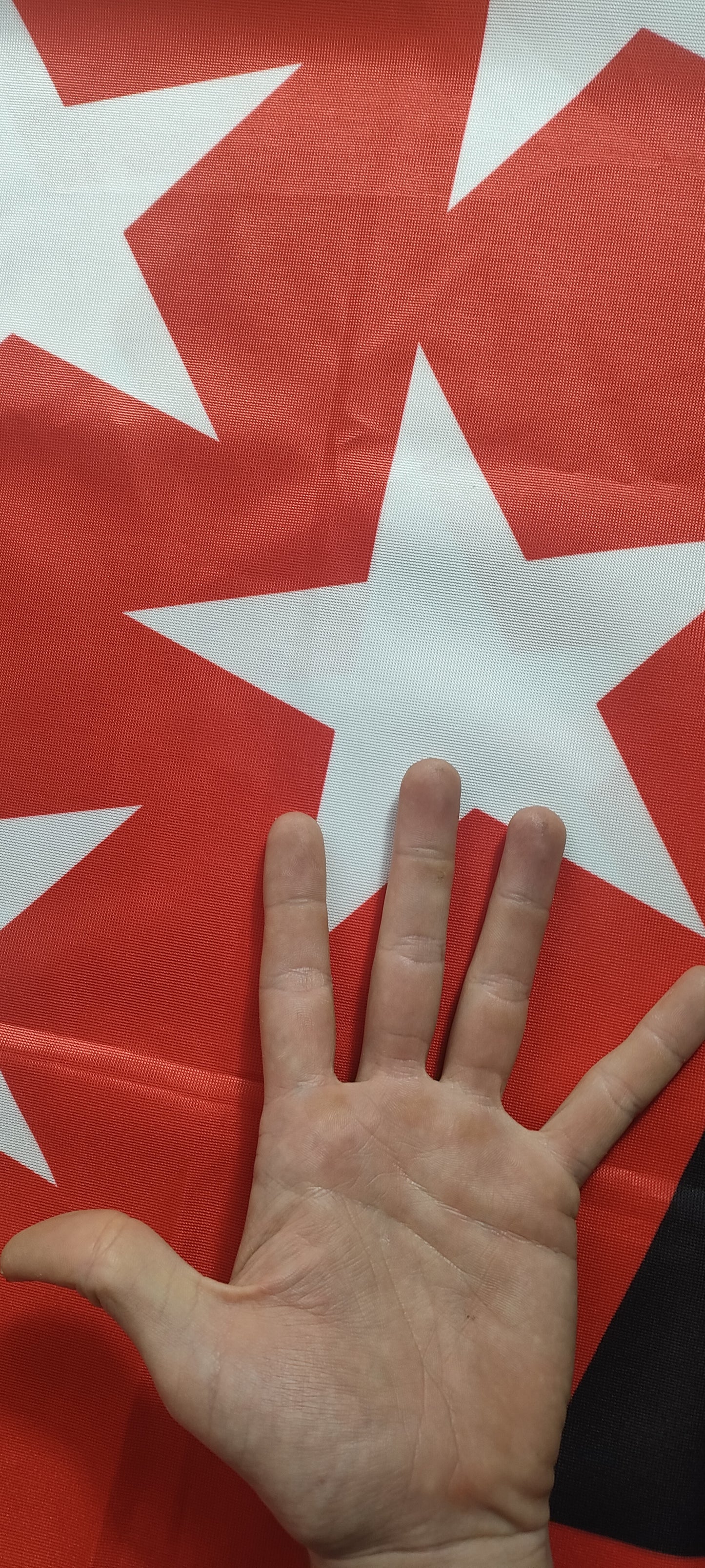 Bandera HC Alcorcón GRANDE